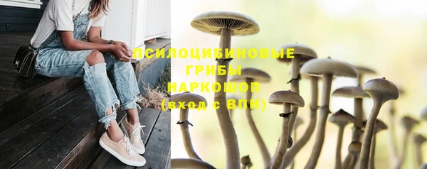 ешки Заволжье