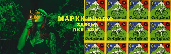 шишки Заволжск