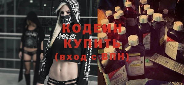 шишки Заволжск