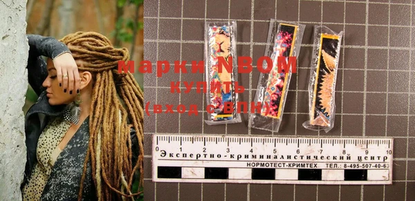 шишки Заволжск