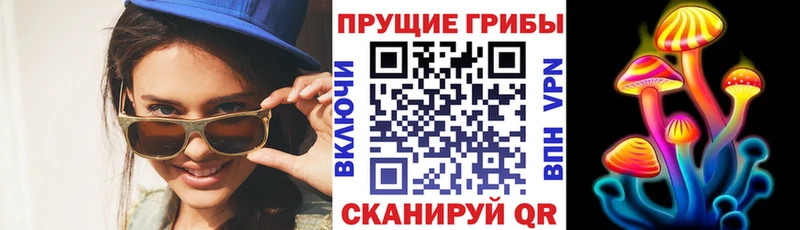 Купить  Кизел  Псилоцибиновые грибы мухоморы 